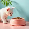 Pet Drinking & Feeding