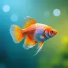 Fish & Aquatic Pets