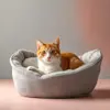 Pet Furnitures